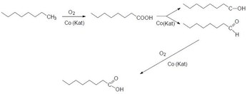 Katalytische Oxidation von Alkanen